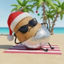 SW 개발 왕감자 시험