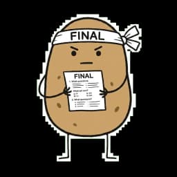 파이널 모의고사