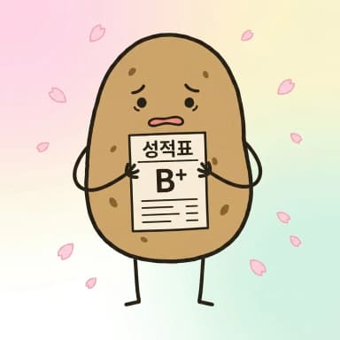 2026년 1회 정보처리기사 실기 후기 + 합격률 예상