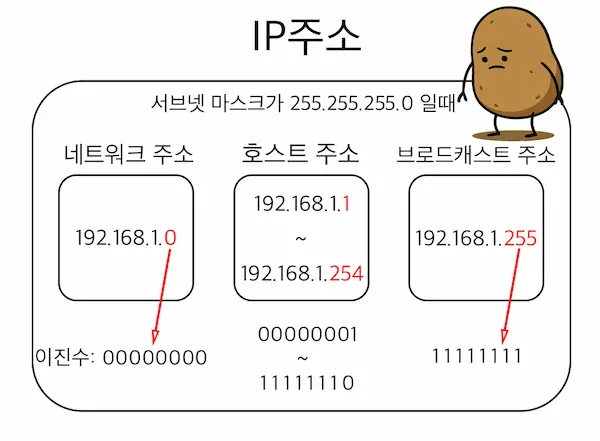 IP 주소, 네트워크 주소, 브로드캐스트 주소, 호스트 주소 설명 감자