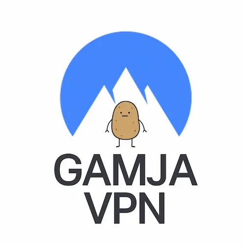 VPN 감자