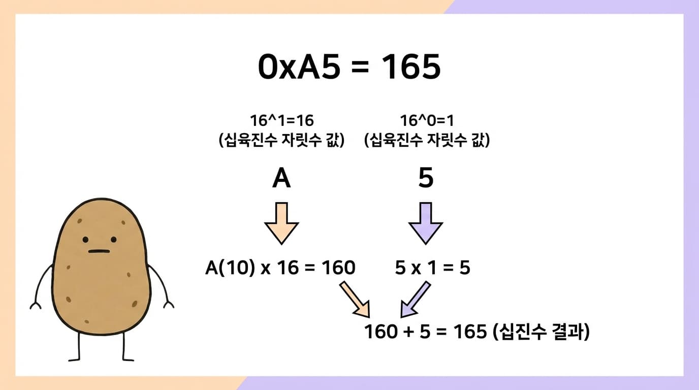 16진수 변환