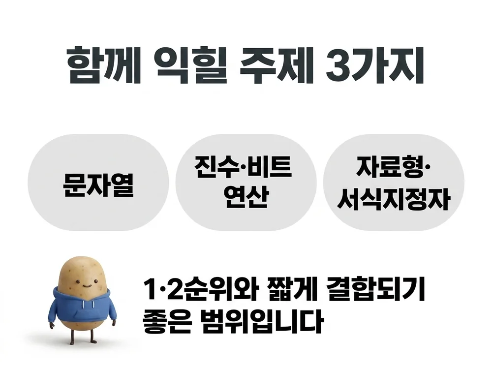 2026년 3회 C언어에서 함께 익힐 문자열, 진수·비트 연산, 자료형·서식지정자