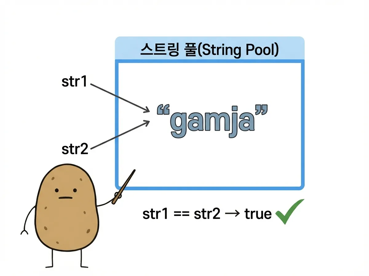 String Pool에서 같은 객체를 공유하는 str1과 str2